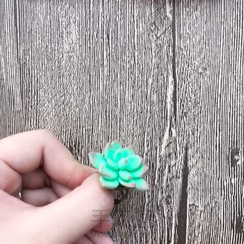 多肉戒指 第18步