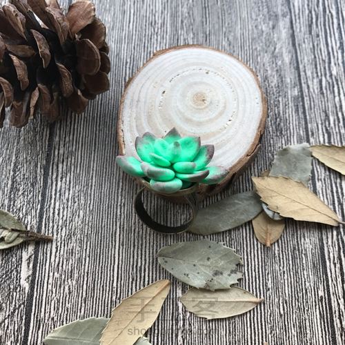 多肉戒指 第19步