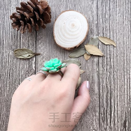 多肉戒指 第20步