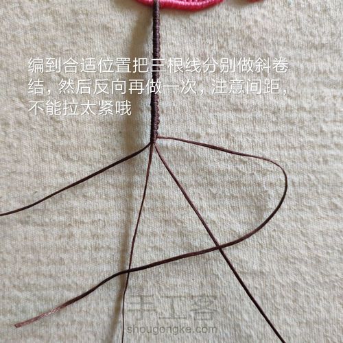 萌萌火烈鸟 第25步