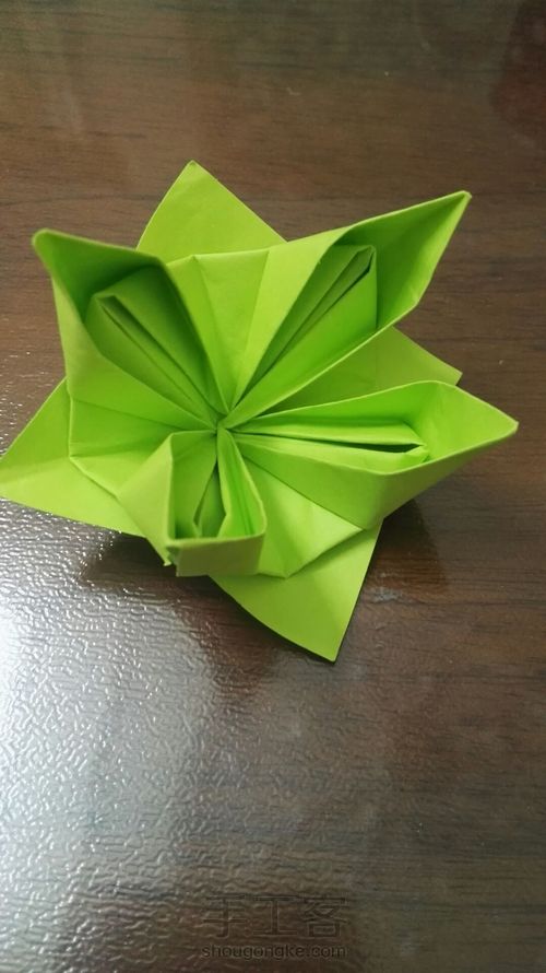 花朵系列之——水仙花 第15步