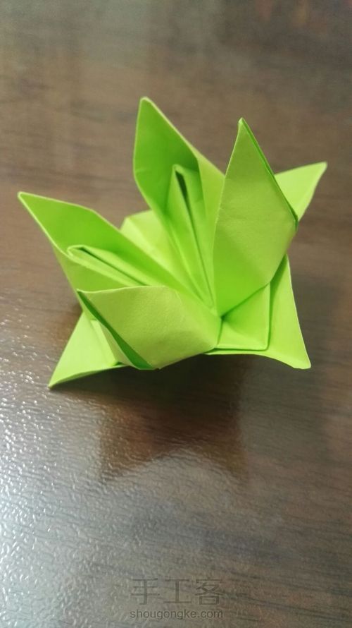 花朵系列之——水仙花 第16步