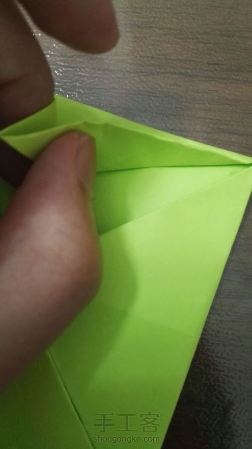 花朵系列之——水仙花 第6步