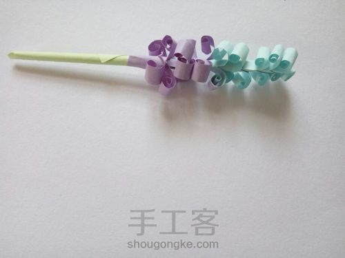 双色薰衣草 第10步