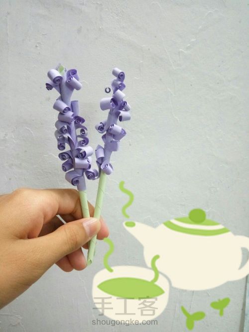 双色薰衣草 第15步