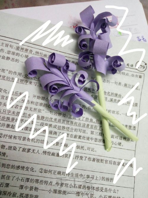 双色薰衣草 第16步