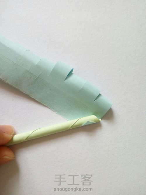 双色薰衣草 第9步