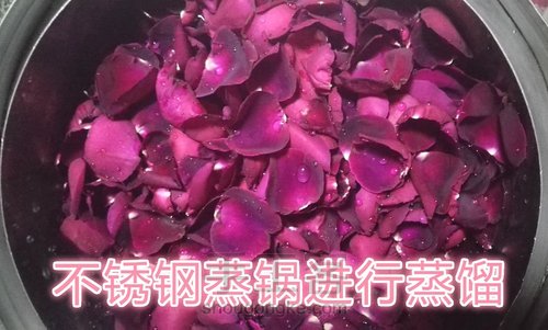 玫瑰花纯露 第10步