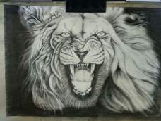 素描狮子
