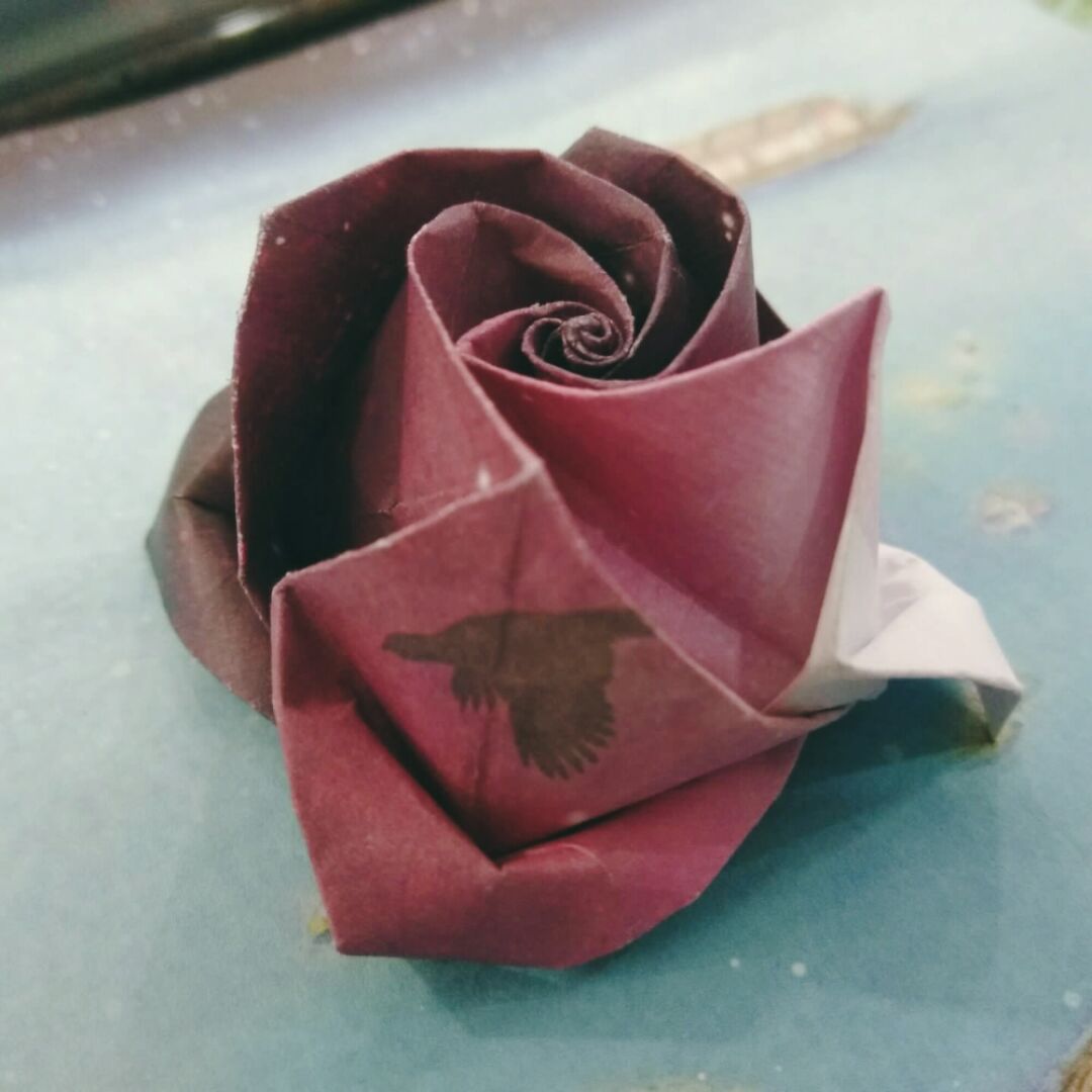 卷心玫瑰的折法图解
如果有看不懂的步骤，可以参照下一步折好后的样子。