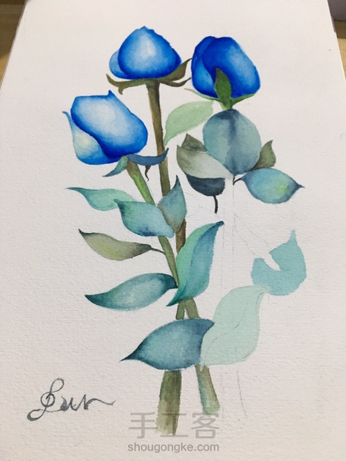 水彩 蓝色妖姬 第5步