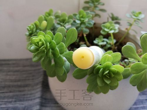 手工橄榄油润唇膏 第6步