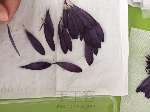 灰姑娘的礼裙 第3步