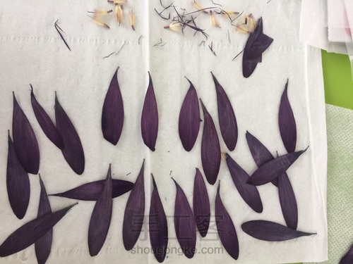 灰姑娘的礼裙 第4步