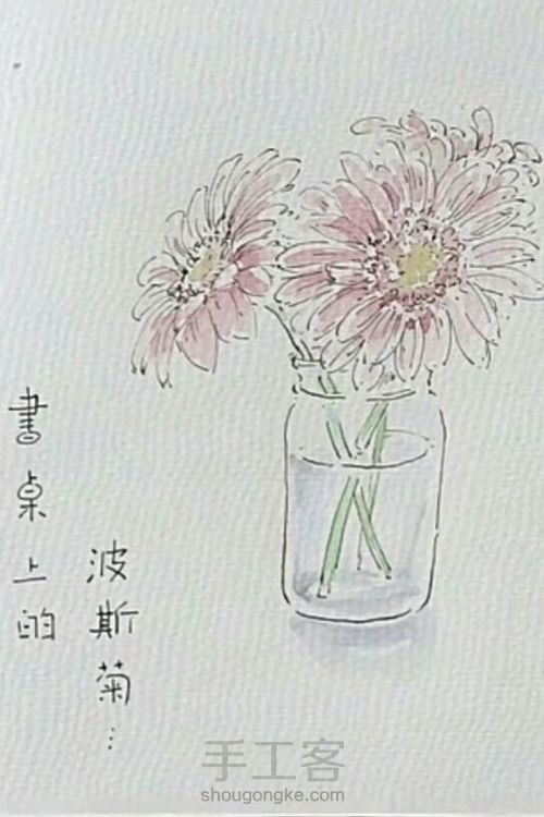 钢笔淡彩—波斯菊 第7步