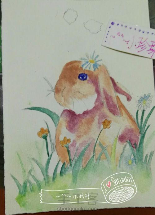 草丛中的小兔子 第8步