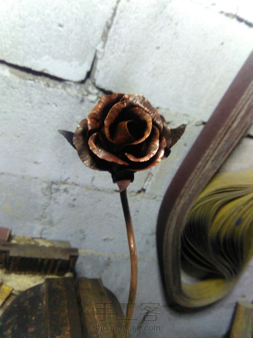 我要送你那,一朵永不凋零的玫瑰 第10步