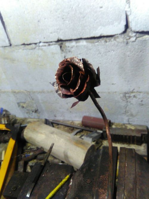 我要送你那,一朵永不凋零的玫瑰 第11步