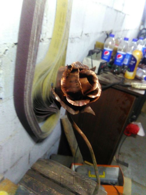 我要送你那,一朵永不凋零的玫瑰 第12步