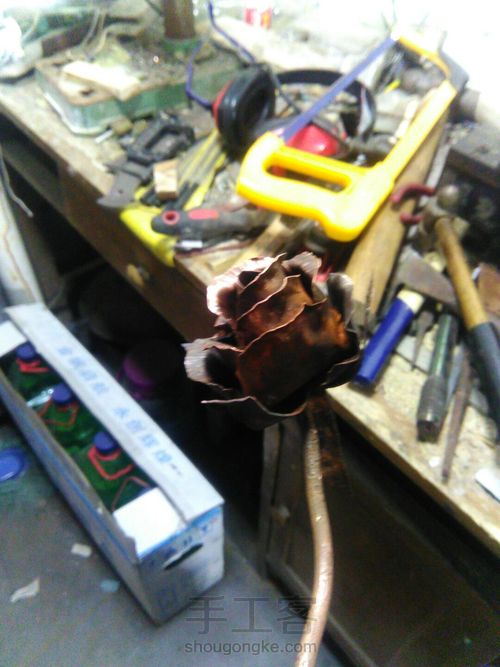 我要送你那,一朵永不凋零的玫瑰 第13步