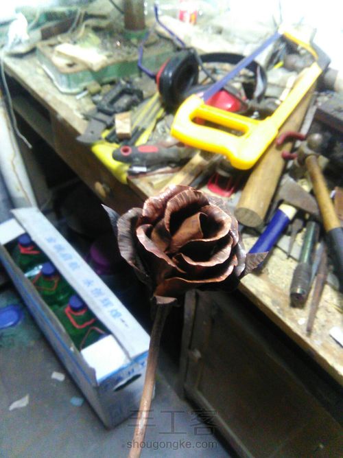 我要送你那，一朵永不凋零的玫瑰 第14步