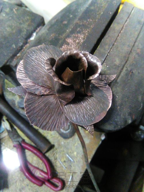 我要送你那,一朵永不凋零的玫瑰 第9步