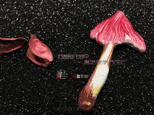 【佳人】手工刺绣蘑菇胸针🍄 第2步