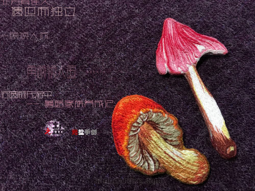 【佳人】手工刺绣蘑菇胸针🍄 第21步