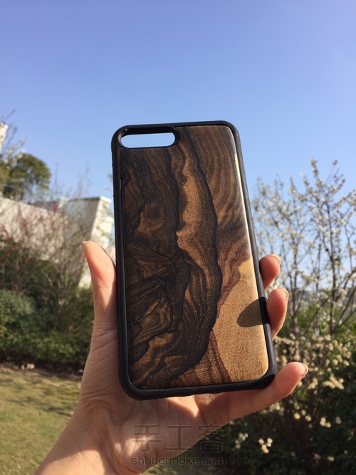 黑柿木，十二雄蕊破布木手机壳 第52步