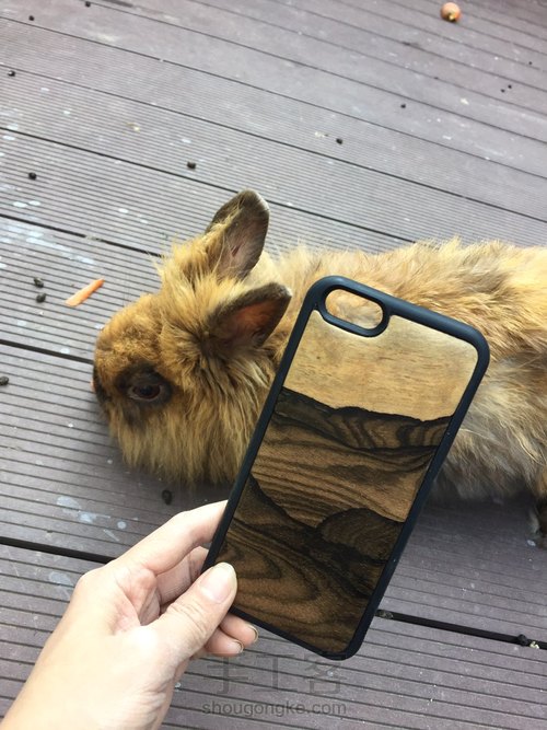 黑柿木，十二雄蕊破布木手机壳 第67步