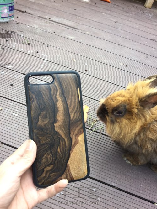 黑柿木，十二雄蕊破布木手机壳 第68步