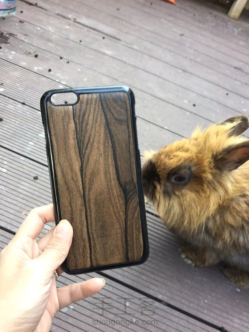 黑柿木，十二雄蕊破布木手机壳 第69步