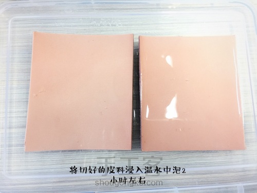 【TREPSTONE】给棒棒糖一个温暖的家 第3步