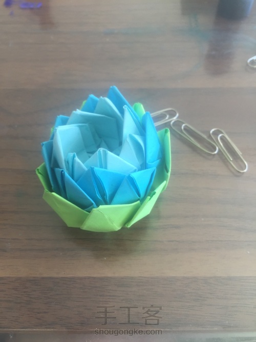 荷花 第15步
