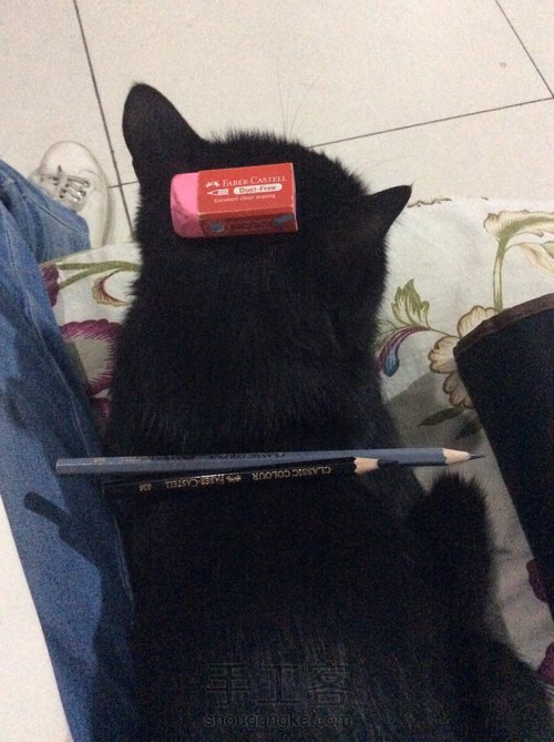 画只写真白头翁吧！ 第9步