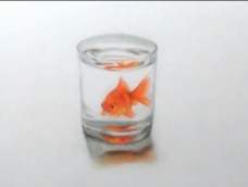 今天我们介绍的是一个彩铅作品，绘画的主体是一个玻璃瓶和金鱼。在透明系的绘画里面，装水的玻璃瓶是比较难绘画的，但是也是透明系里面最常见的作品之一了。大家看到我们的作品的时候是不是就觉得无论是金鱼还是装水的玻璃瓶都是十分的逼真啊。就好像是我们使用相机拍摄出来的样子。如果说和我们自己绘画的彩铅有一些什么不同的话，那就是色彩比较鲜艳有光泽，这个就是我们的彩铅经过处理了之后的特点了。