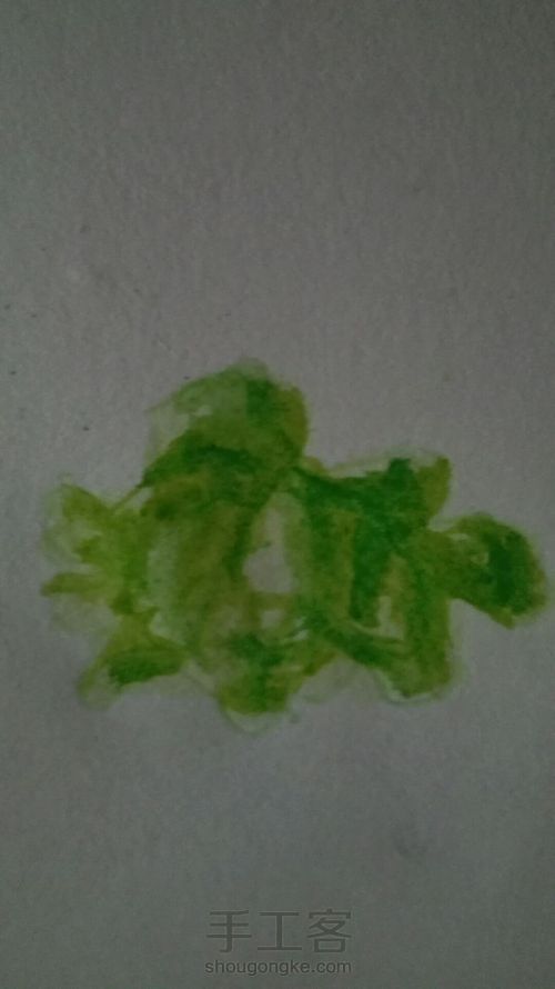 伪多肉教程第二波 第6步