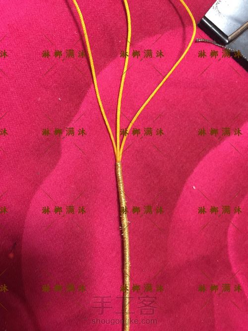 金丝藤蔓 第17步