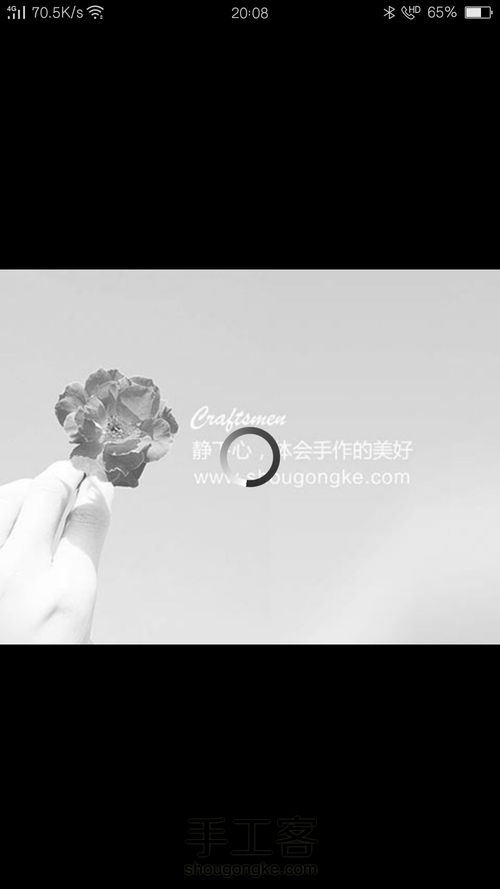 [转载]木口子的作品 第24步