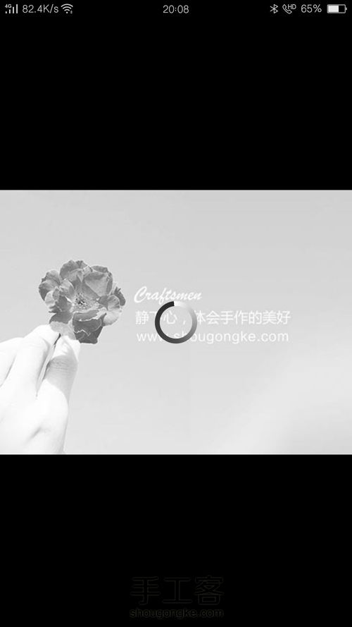 [转载]木口子的作品 第26步