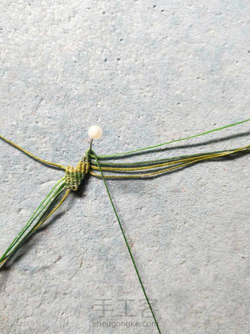 简单叶子 第10步