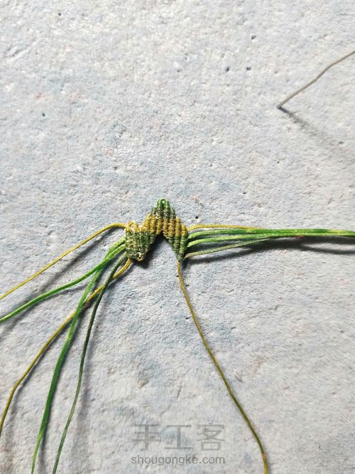 简单叶子 第12步