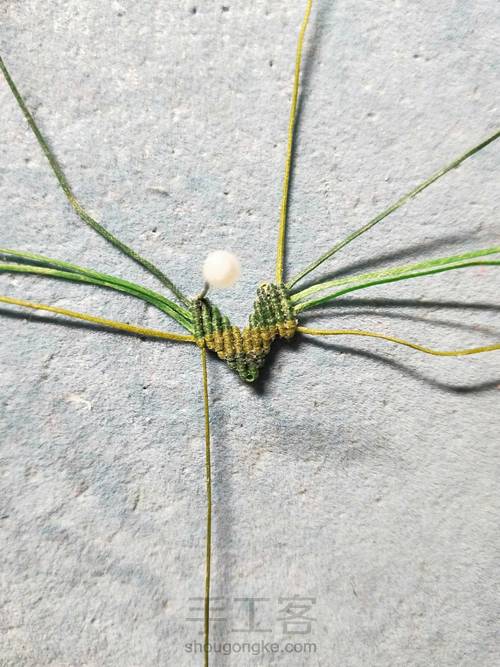 简单叶子 第13步