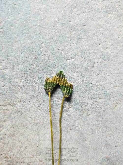 简单叶子 第17步