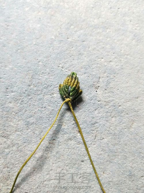 简单叶子 第18步