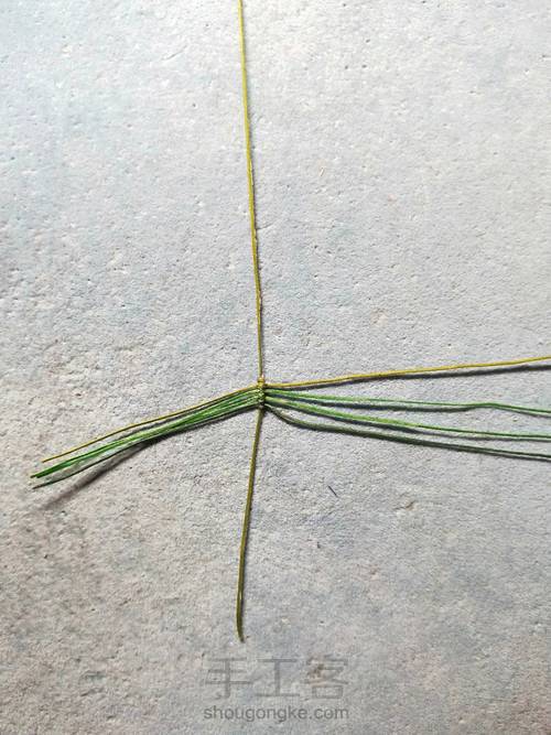 简单叶子 第2步