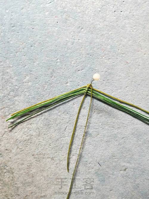 简单叶子 第3步