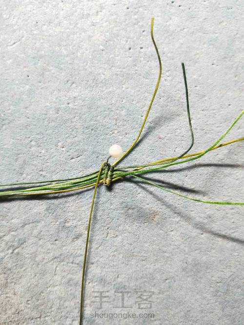 简单叶子 第5步