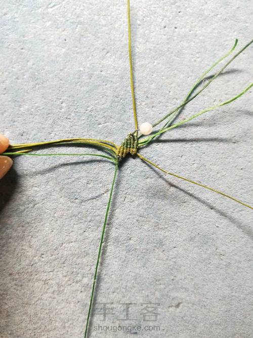 简单叶子 第9步