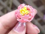 小小牡丹花，用的0.4炫色